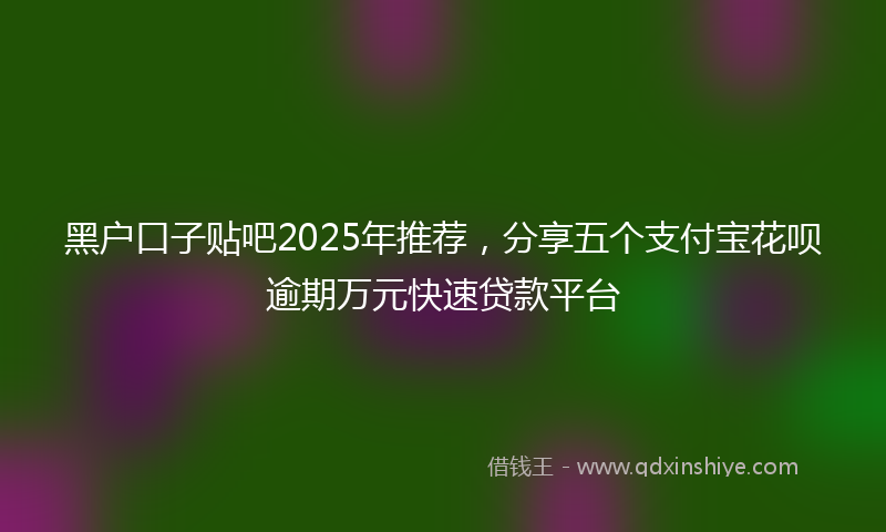 黑户口子贴吧2025年推荐，分享五个支付宝花呗逾期万元快速贷款平台
