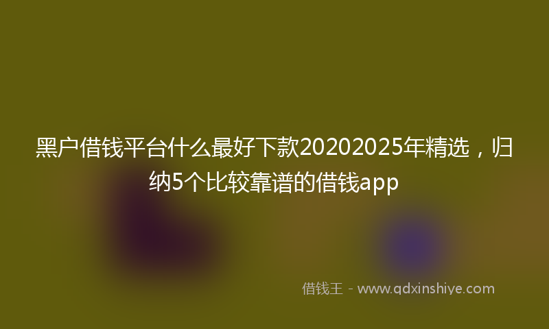 黑户借钱平台什么最好下款20202025年精选，归纳5个比较靠谱的借钱app