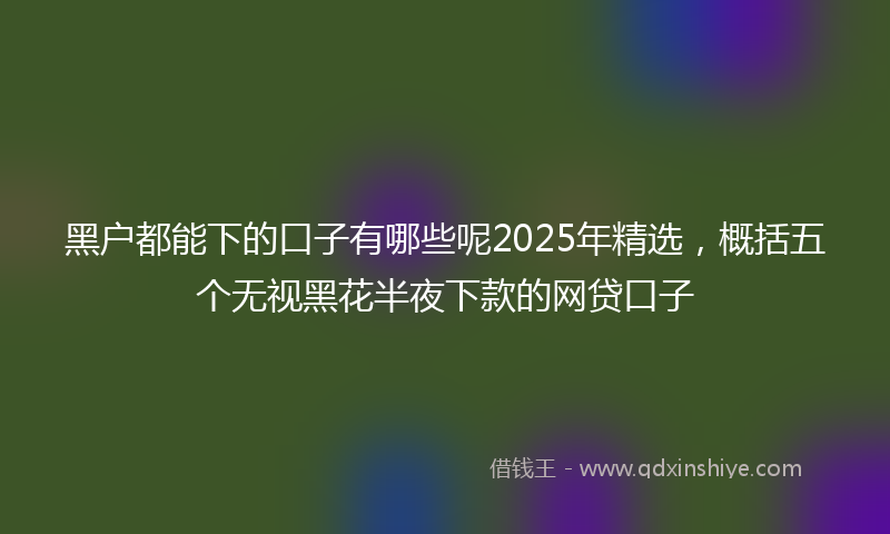 黑户都能下的口子有哪些呢2025年精选，概括五个无视黑花半夜下款的网贷口子
