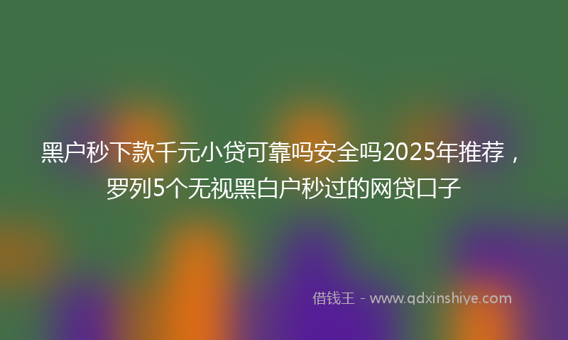 黑户秒下款千元小贷可靠吗安全吗2025年推荐，罗列5个无视黑白户秒过的网贷口子
