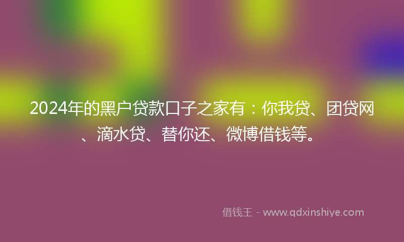 2024年的黑户贷款口子之家有：你我贷、团贷网、滴水贷、替你还、微博借钱等。