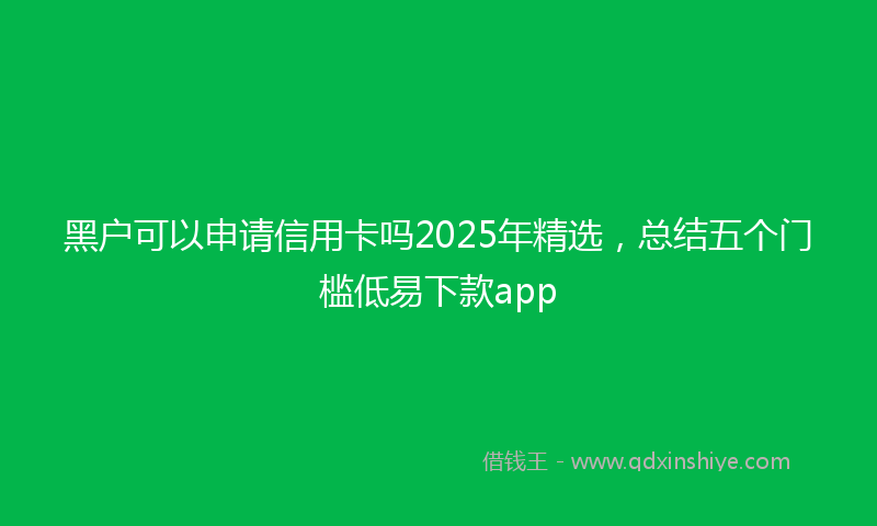 黑户可以申请信用卡吗2025年精选，总结五个门槛低易下款app