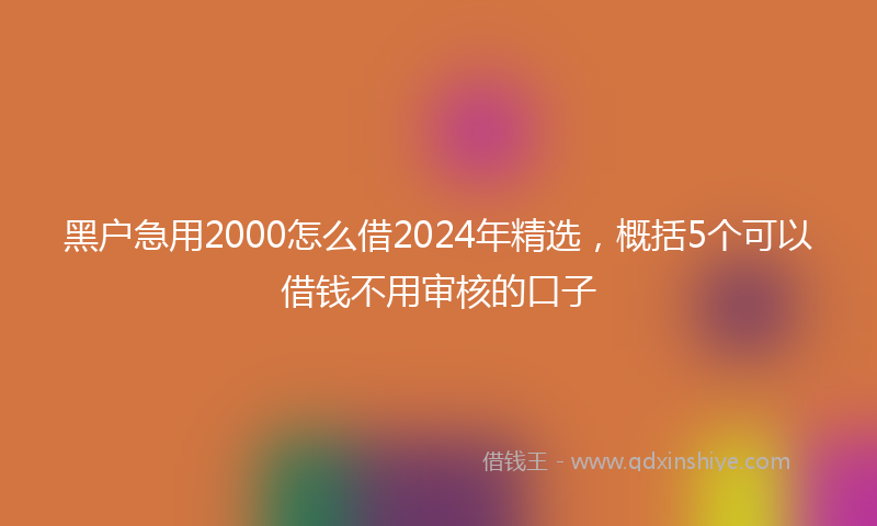 黑户急用2000怎么借2024年精选，概括5个可以借钱不用审核的口子