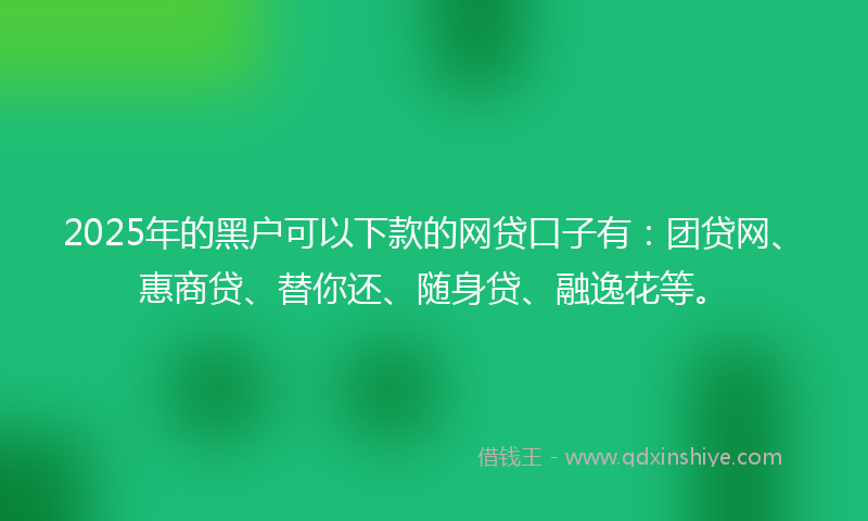 2025年的黑户可以下款的网贷口子有：团贷网、惠商贷、替你还、随身贷、融逸花等。