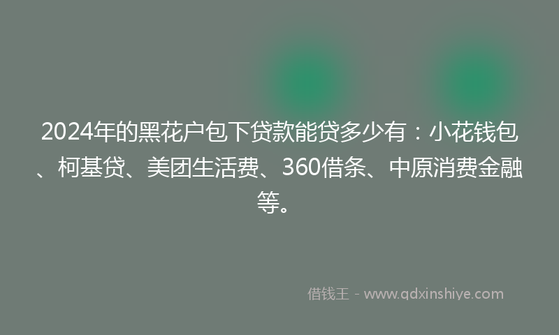 2024年的黑花户包下贷款能贷多少有：小花钱包、柯基贷、美团生活费、360借条、中原消费金融等。