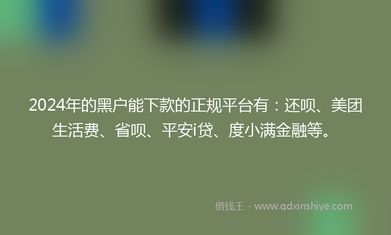 2024年的黑户能下款的正规平台有：还呗、美团生活费、省呗、平安i贷、度小满金融等。