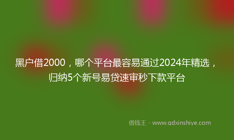 黑户借2000，哪个平台最容易通过2024年精选，归纳5个新号易贷速审秒下款平台