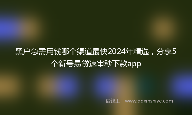 黑户急需用钱哪个渠道最快2024年精选，分享5个新号易贷速审秒下款app