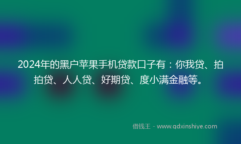 2024年的黑户苹果手机贷款口子有：你我贷、拍拍贷、人人贷、好期贷、度小满金融等。
