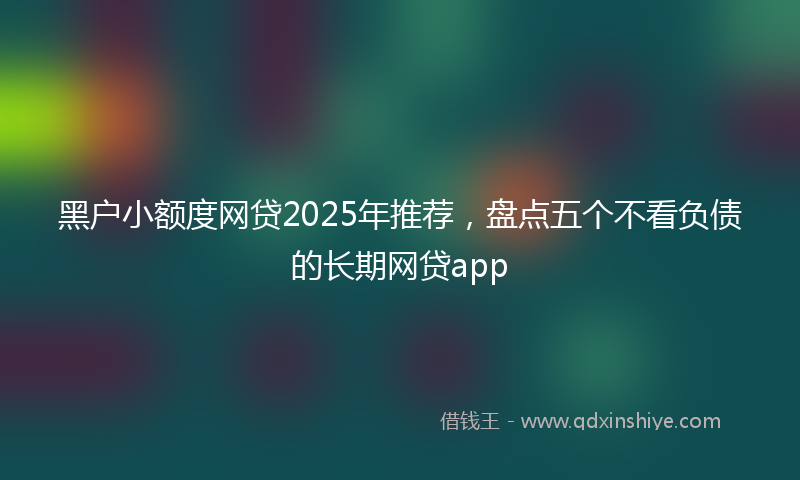 黑户小额度网贷2025年推荐，盘点五个不看负债的长期网贷app
