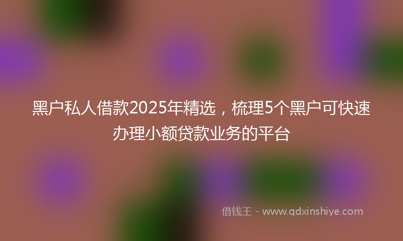 黑户私人借款2025年精选，梳理5个黑户可快速办理小额贷款业务的平台