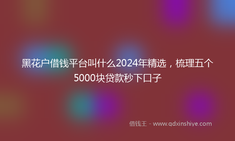 黑花户借钱平台叫什么2024年精选，梳理五个5000块贷款秒下口子