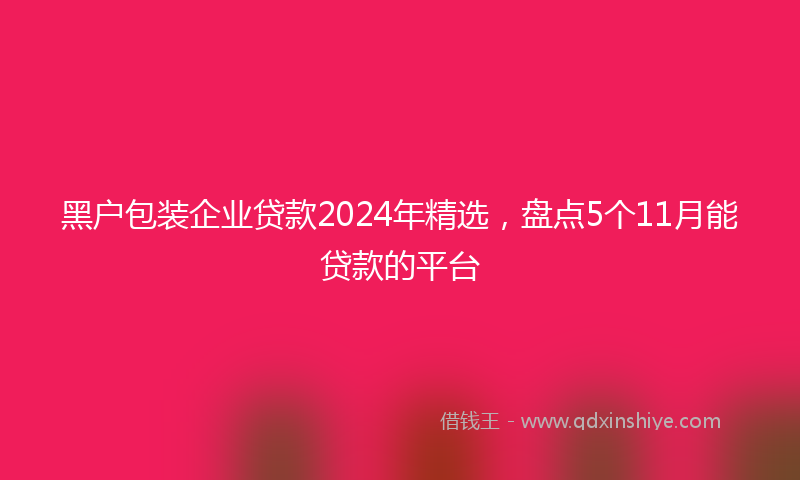 黑户包装企业贷款2024年精选，盘点5个11月能贷款的平台