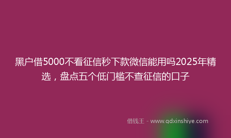 黑户借5000不看征信秒下款微信能用吗2025年精选，盘点五个低门槛不查征信的口子