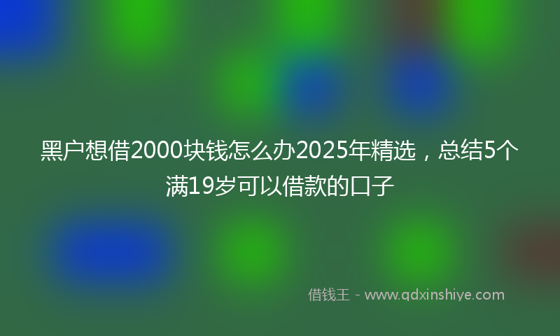 黑户想借2000块钱怎么办2025年精选，总结5个满19岁可以借款的口子