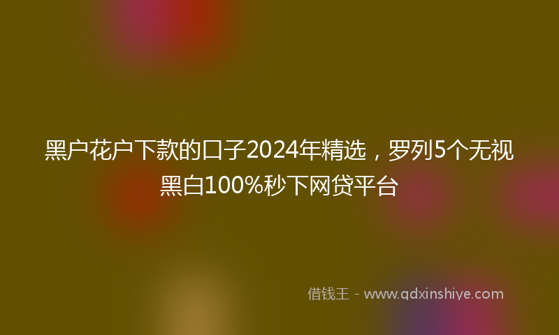 黑户花户下款的口子2024年精选，罗列5个无视黑白100%秒下网贷平台
