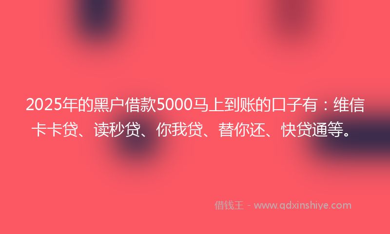 2025年的黑户借款5000马上到账的口子有：维信卡卡贷、读秒贷、你我贷、替你还、快贷通等。
