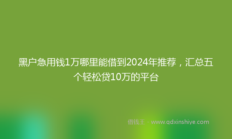 黑户急用钱1万哪里能借到2024年推荐，汇总五个轻松贷10万的平台