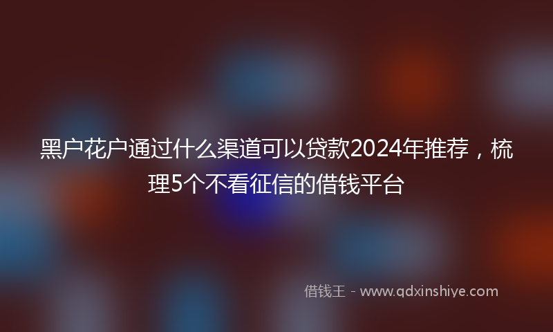 黑户花户通过什么渠道可以贷款2024年推荐，梳理5个不看征信的借钱平台