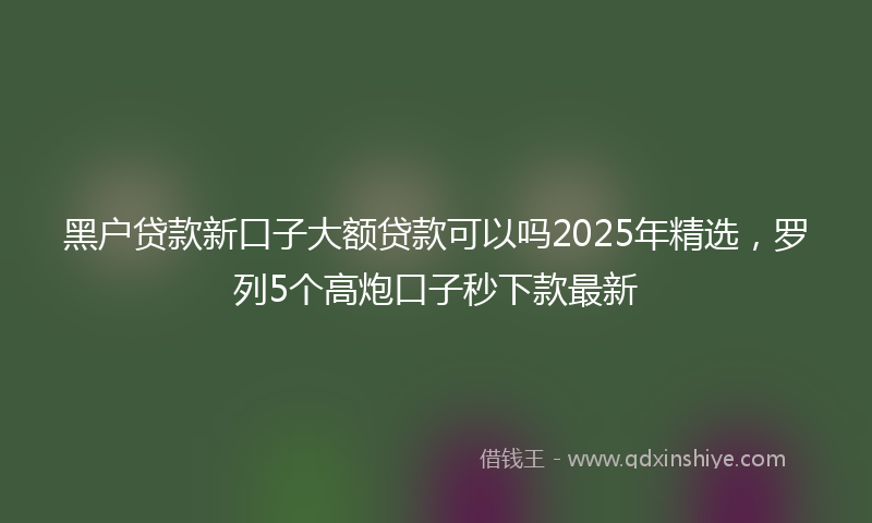 黑户贷款新口子大额贷款可以吗2025年精选，罗列5个高炮口子秒下款最新