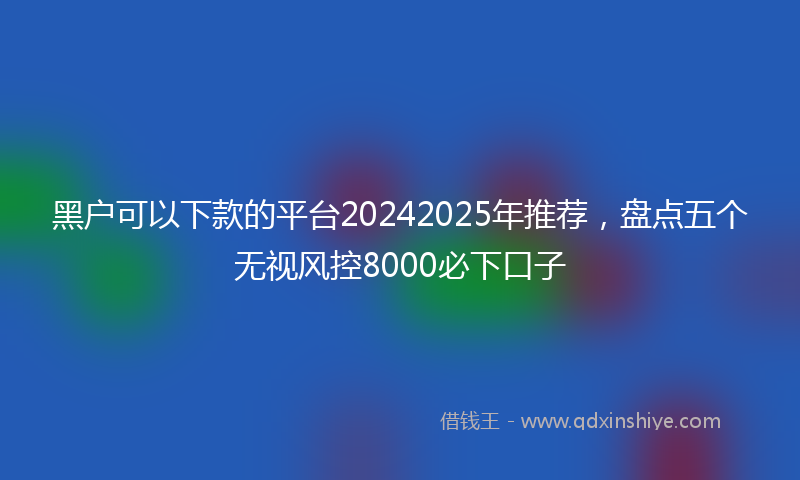 黑户可以下款的平台20242025年推荐，盘点五个无视风控8000必下口子
