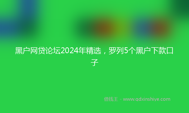 黑户网贷论坛2024年精选，罗列5个黑户下款口子