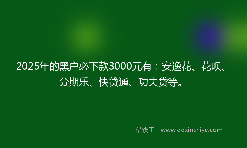 2025年的黑户必下款3000元有：安逸花、花呗、分期乐、快贷通、功夫贷等。