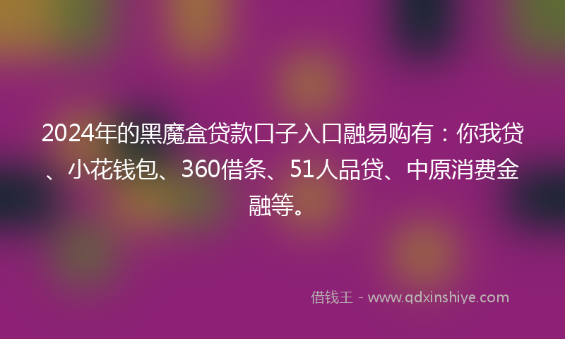 2024年的黑魔盒贷款口子入口融易购有：你我贷、小花钱包、360借条、51人品贷、中原消费金融等。