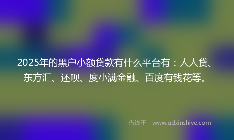 2025年的黑户小额贷款有什么平台有：人人贷、东方汇、还呗、度小满金融、百度有钱花等。