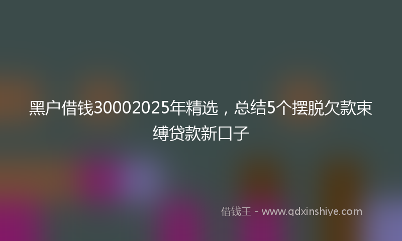 黑户借钱30002025年精选，总结5个摆脱欠款束缚贷款新口子