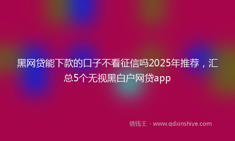 黑网贷能下款的口子不看征信吗2025年推荐，汇总5个无视黑白户网贷app