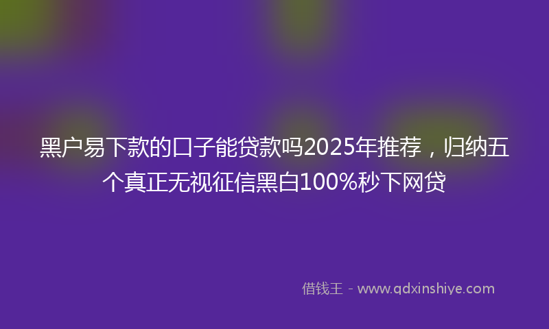 黑户易下款的口子能贷款吗2025年推荐，归纳五个真正无视征信黑白100%秒下网贷
