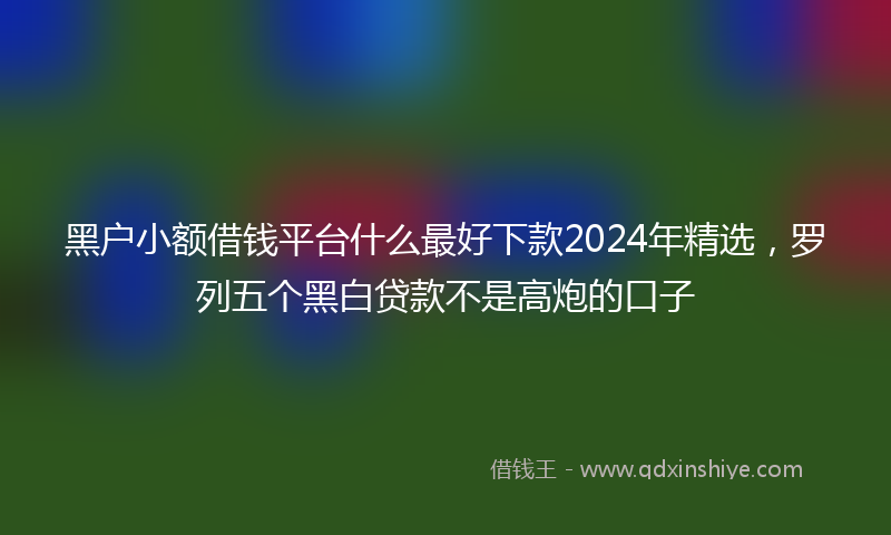 黑户小额借钱平台什么最好下款2024年精选，罗列五个黑白贷款不是高炮的口子