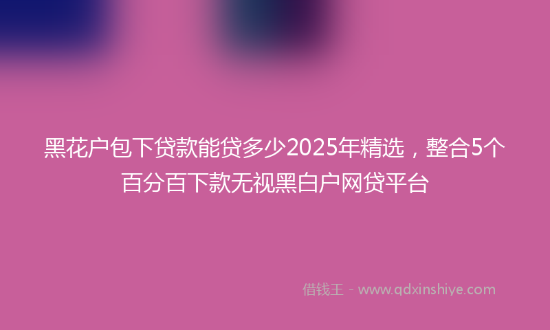 黑花户包下贷款能贷多少2025年精选，整合5个百分百下款无视黑白户网贷平台