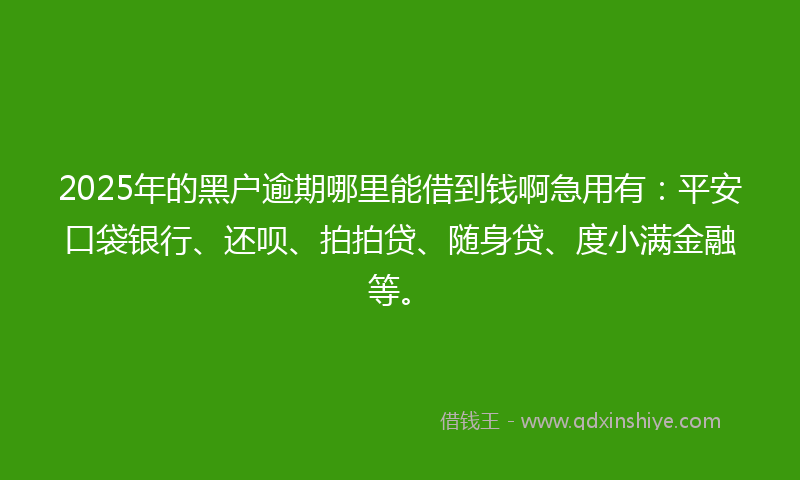 2025年的黑户逾期哪里能借到钱啊急用有：平安口袋银行、还呗、拍拍贷、随身贷、度小满金融等。
