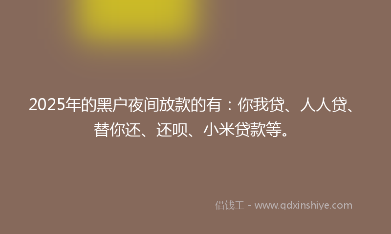 2025年的黑户夜间放款的有：你我贷、人人贷、替你还、还呗、小米贷款等。
