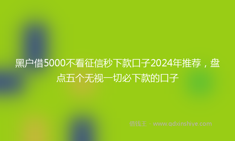 黑户借5000不看征信秒下款口子2024年推荐，盘点五个无视一切必下款的口子