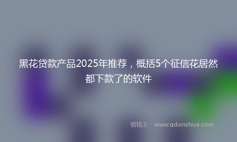 黑花贷款产品2025年推荐，概括5个征信花居然都下款了的软件