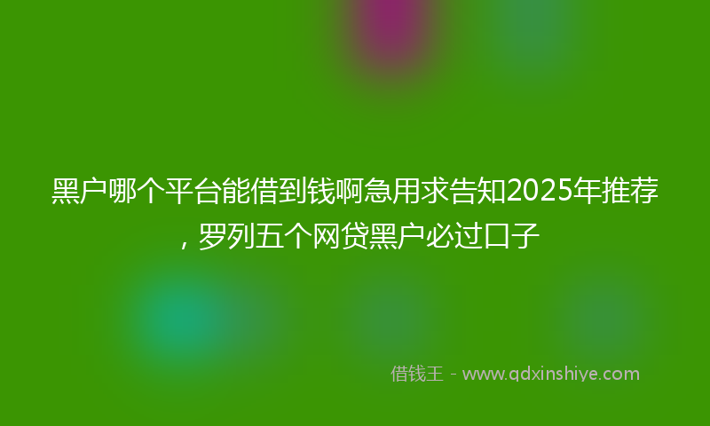 黑户哪个平台能借到钱啊急用求告知2025年推荐，罗列五个网贷黑户必过口子
