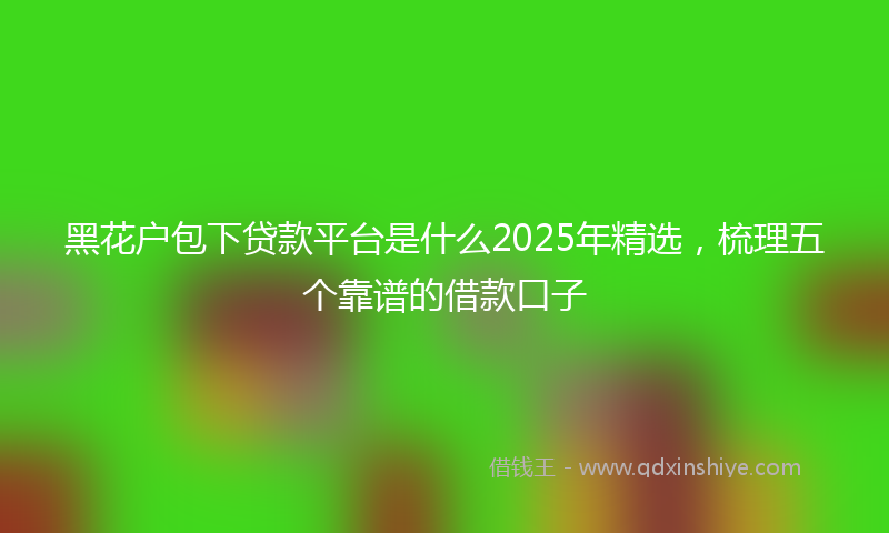 黑花户包下贷款平台是什么2025年精选，梳理五个靠谱的借款口子