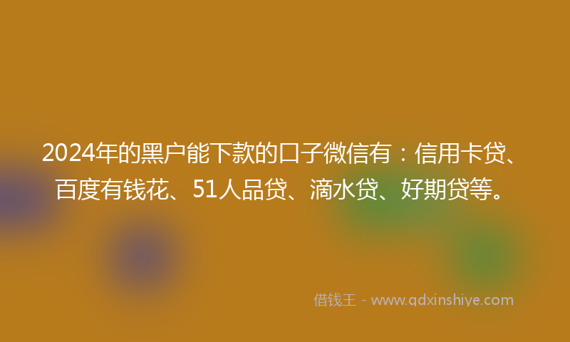 2024年的黑户能下款的口子微信有：信用卡贷、百度有钱花、51人品贷、滴水贷、好期贷等。