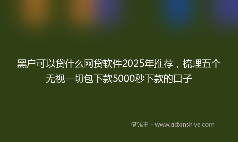 黑户可以贷什么网贷软件2025年推荐，梳理五个无视一切包下款5000秒下款的口子