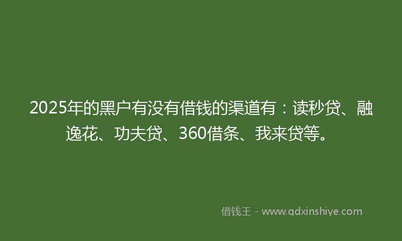 2025年的黑户有没有借钱的渠道有：读秒贷、融逸花、功夫贷、360借条、我来贷等。