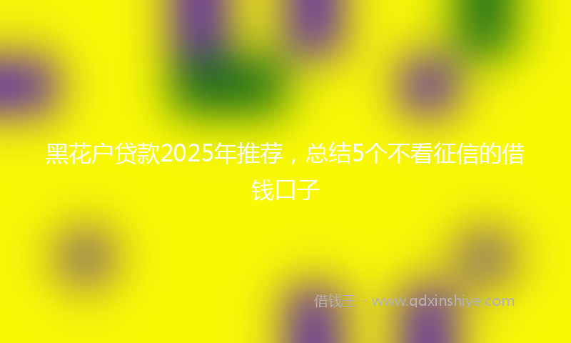 黑花户贷款2025年推荐，总结5个不看征信的借钱口子