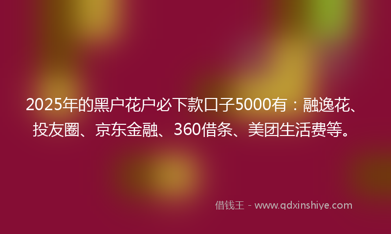 2025年的黑户花户必下款口子5000有：融逸花、投友圈、京东金融、360借条、美团生活费等。