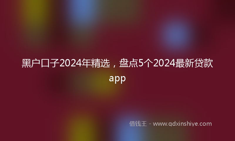 黑户口子2024年精选，盘点5个2024最新贷款app