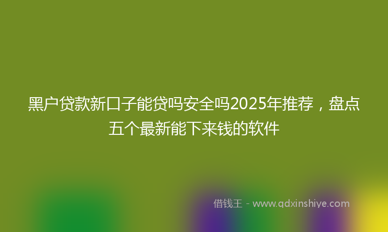 黑户贷款新口子能贷吗安全吗2025年推荐，盘点五个最新能下来钱的软件