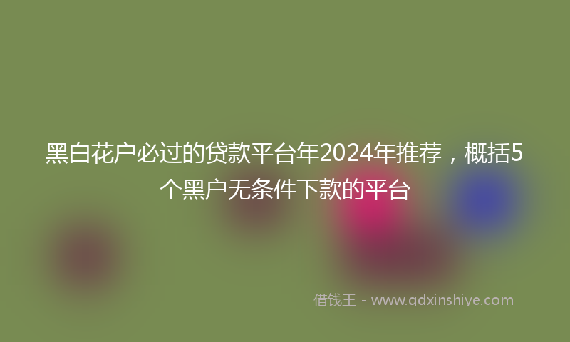 黑白花户必过的贷款平台年2024年推荐，概括5个黑户无条件下款的平台