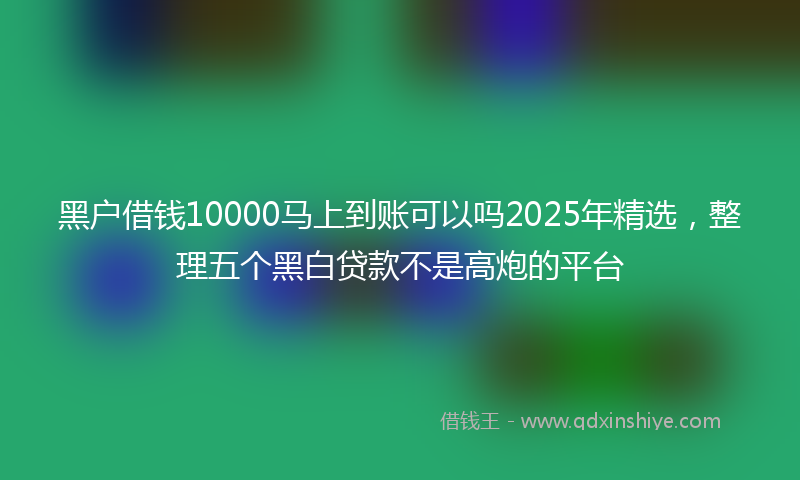 黑户借钱10000马上到账可以吗2025年精选，整理五个黑白贷款不是高炮的平台