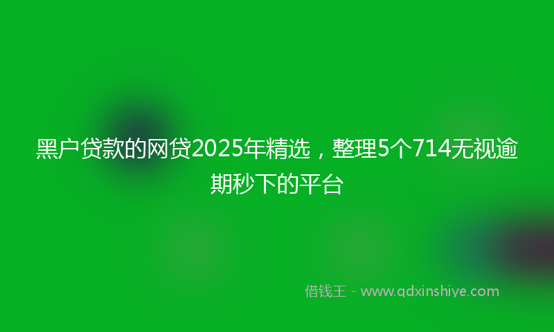 黑户贷款的网贷2025年精选，整理5个714无视逾期秒下的平台